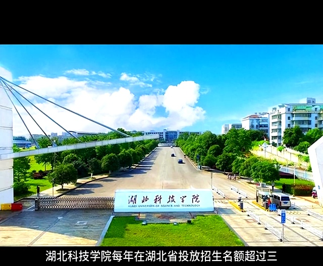 湖北科技学院2024年高考分数跳水,学生选择原因引发热议