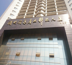 湖北信息产业科技大厦